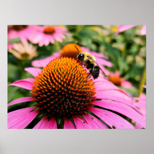 Bequeme Beete auf einem Lila Sitzplatz Poster