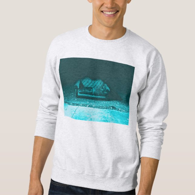 bequeme Couch Sweatshirt (Vorderseite)
