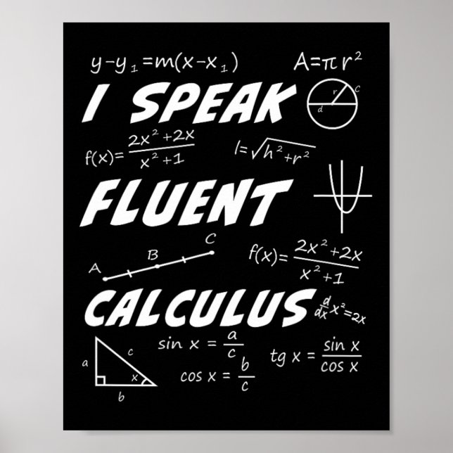 Berechnung Pi Day Algebra Geometry Trigonometry St Poster (Vorne)