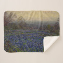 Bereich Bluebonnet-Blume (Landschaft des ländliche