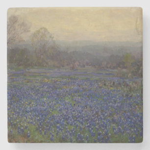 Bereich Bluebonnet-Blume (Landschaft des ländliche Steinuntersetzer