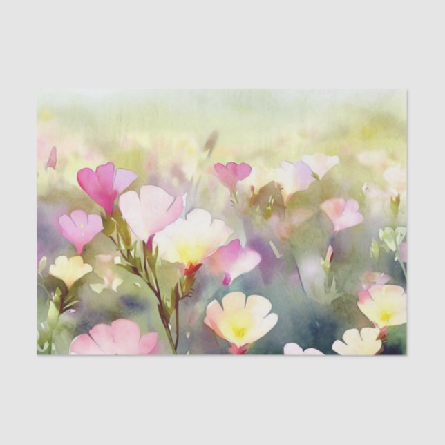 Bereich Blume - Abend Primrose (C) Aquarellfarbe Seidenpapier (Vorderseite)