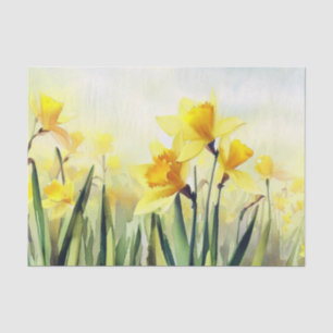Bereich Blume-Daffodil (C) Aquarell Seidenpapier