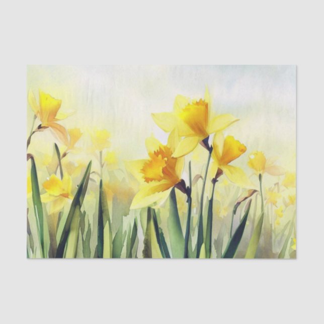 Bereich Blume-Daffodil (C) Aquarell Seidenpapier (Vorderseite)