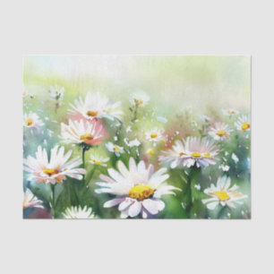 Bereich Blume-Daisy (A) Wasserfarbe Seidenpapier