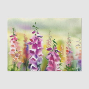Bereich Blume-Foxglove (D) Aquarell Seidenpapier