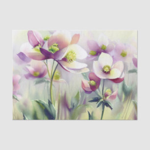 Bereich Blume-Hellebore (B) Wasserfarbe Seidenpapier
