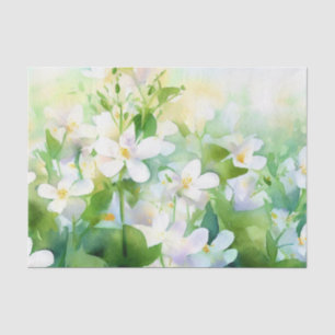 Bereich Blume-Jasmine (B) Aquarellbilder Seidenpapier