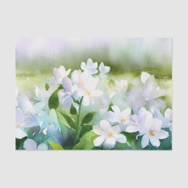 Bereich Blume-Jasmine (D) Wasserfarbe Seidenpapier (Vorderseite)