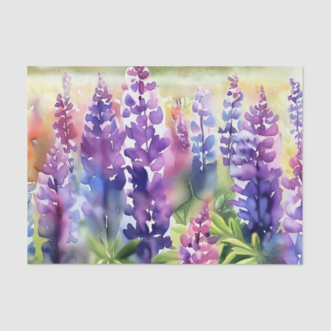 Bereich Blume-Lupine (B) Aquarell Seidenpapier (Vorderseite)