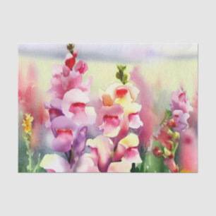 Bereich Blume-Snapdragon (C) Wasserfarbe Seidenpapier