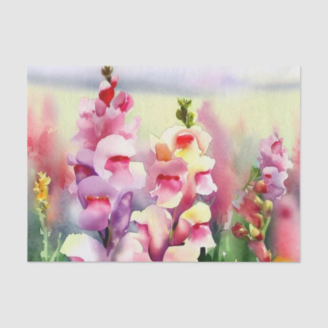 Bereich Blume-Snapdragon (C) Wasserfarbe Seidenpapier (Vorderseite)