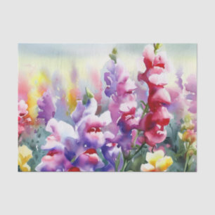 Bereich Blume-Snapdragon (D) Wasserfarbe Seidenpapier