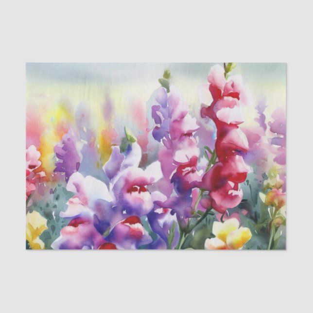 Bereich Blume-Snapdragon (D) Wasserfarbe Seidenpapier (Vorderseite)