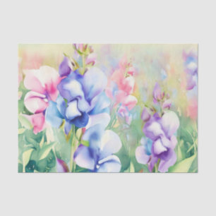 Bereich Blume-Süßer Erbsen (B) Aquarell Seidenpapier