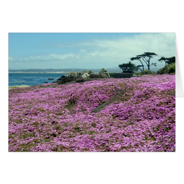 "Bereich der Blume" (Vorderseite (Horizontal))