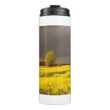 Bereich der Blume 11