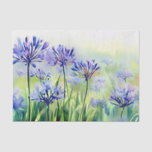 Bereich der Blume-Agapanthus, (D) Aquarell Seidenpapier