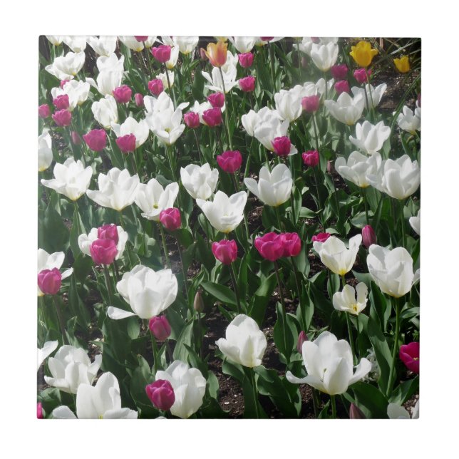 Bereich der Blume Fliese (Vorderseite)