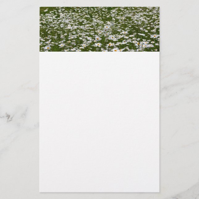 Bereich der Daisies Alaskan-Wildblumen Briefpapier (Vorderseite)