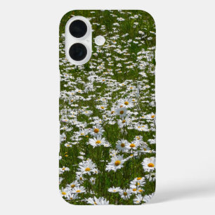 Bereich der Daisies Alaskan-Wildblumen iPhone 16 Hülle