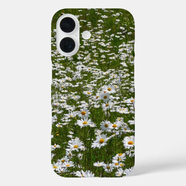 Bereich der Daisies Alaskan-Wildblumen Case-Mate iPhone Hülle (Rückseite)