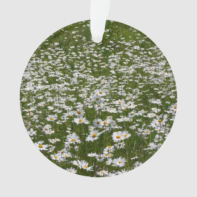 Bereich der Daisies Alaskan-Wildblumen Ornament (Vorderseite)