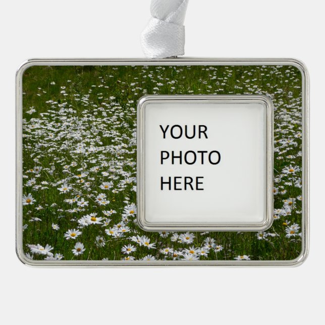 Bereich der Daisies Alaskan-Wildblumen Rahmen-Ornament Silber (Vorderseite)