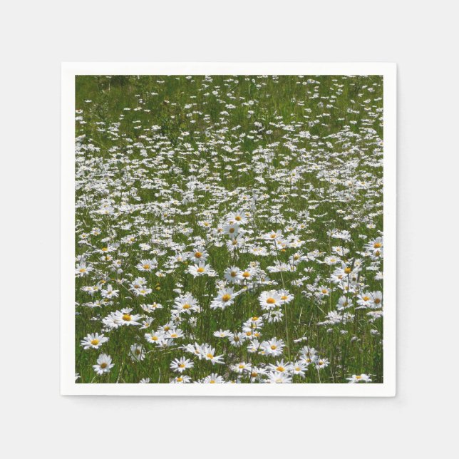 Bereich der Daisies Alaskan-Wildblumen Serviette (Vorderseite)