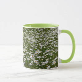 Bereich der Daisies Alaskan-Wildblumen Tasse