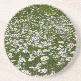Bereich der Daisies Alaskan-Wildblumen Untersetzer