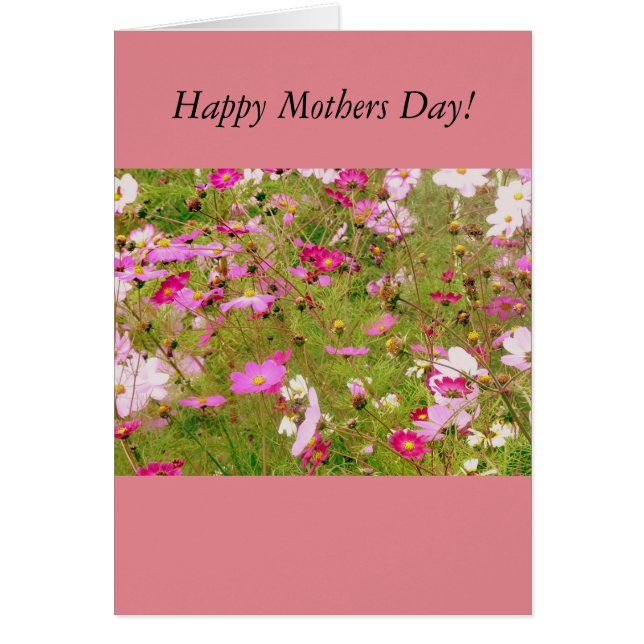 Bereich der rosa Blume (Vorne)