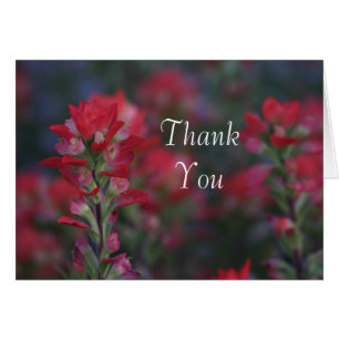 Bereich der roten Blume Vielen Dank