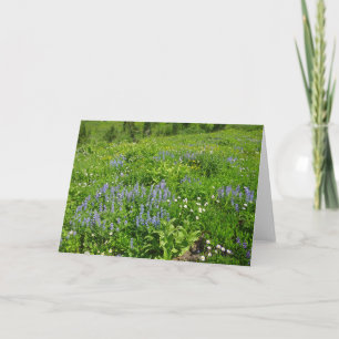 Bereich der Wildblumen auf dem Rainier Karte
