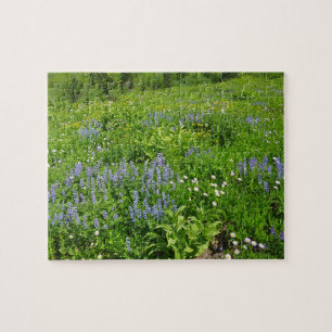 Bereich der Wildblumen auf dem Rainier Puzzle