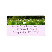 Bereich Lotus Blume Sommergarten