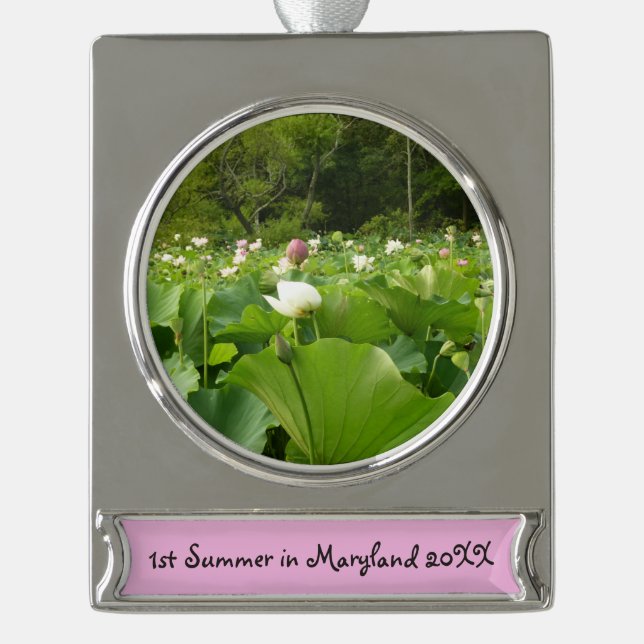 Bereich Lotus Blume Sommergarten Banner-Ornament Silber (Vorderseite)