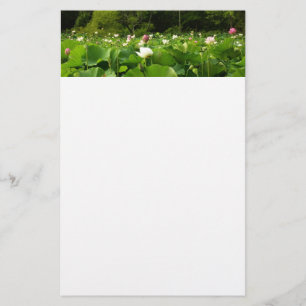 Bereich Lotus Blume Sommergarten Briefpapier