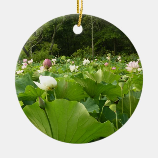 Bereich Lotus Blume Sommergarten Keramikornament (Vorne)