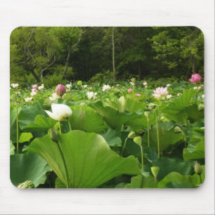 Bereich Lotus Blume Sommergarten Mousepad