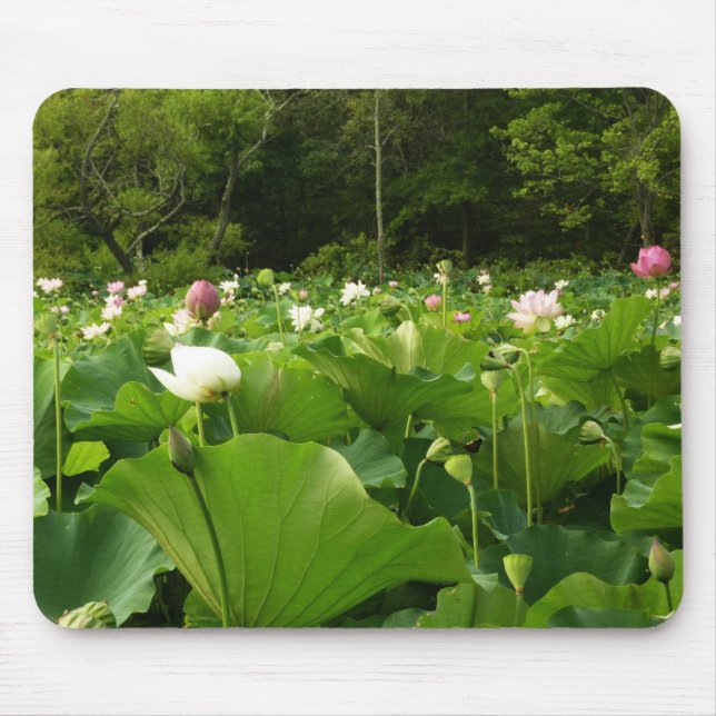 Bereich Lotus Blume Sommergarten Mousepad (Vorne)