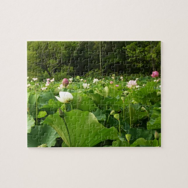 Bereich Lotus Blume Sommergarten Puzzle (Horizontal)