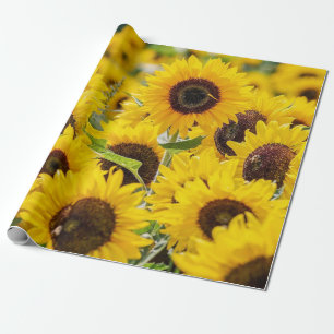 Bereich Sonnenblumen Design Umhüllungspapier Geschenkpapier