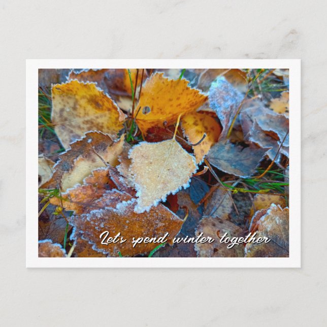 Bereifte Herbstblätter Custom Postkarte (Vorderseite)