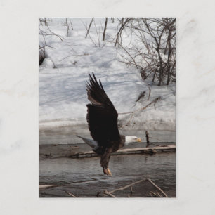 Bereit für das Leben Postkarte