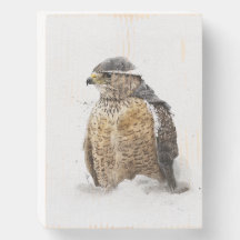 Bereit für das Schneeschuhsigne