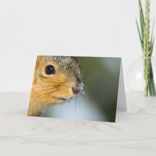 Bereit für den Frühling Karte