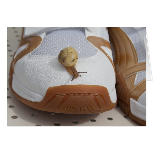 Bereit für den Schneckenritt (Vorderseite (Horizontal))