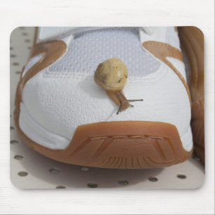 Bereit für den Schneckenritt Mousepad