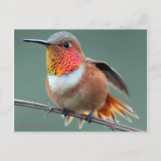 Bereit für den Start Postkarte